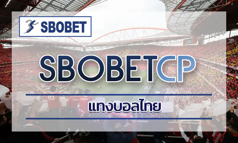 ความแตกต่างของ แทงบอลไทย sbobet ระหว่างลีกใหญ่กับลีกเล็ก
