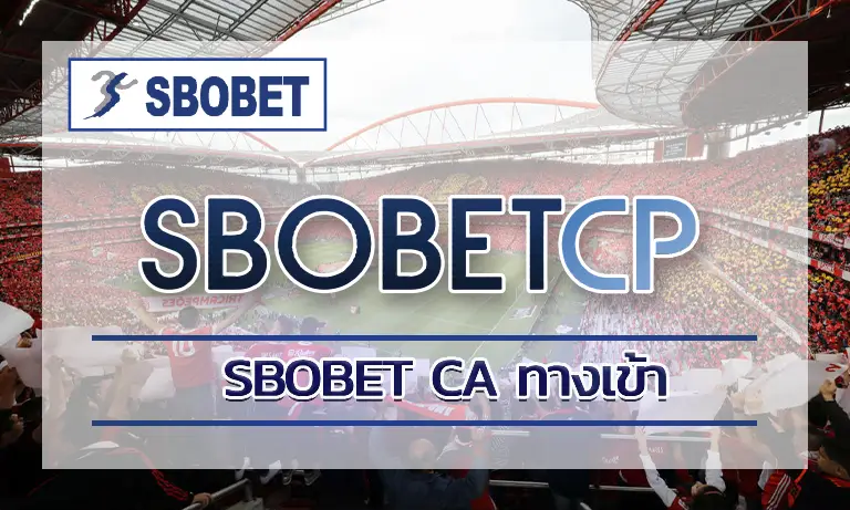 แทงบอล sbobet ca ทางเข้า อย่างมีวินัยคือกุญแจสู่กำไรระยะยาว
